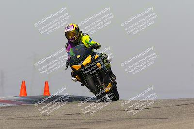 media/Feb-10-2023-TrackDaz (Fri) [[827c11d241]]/C Group/1245pm (Outside Grapevine)/